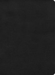 CSB The Apologetics Study Bible, Black Leather Touch CSB The Apologetics Study Bible, Black Leather Touch