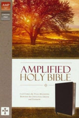 Amplified Holy Bible, Black Bonded Leather, Indexed