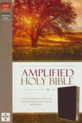 The Amplified Bible, Burgundy Bonded Leather