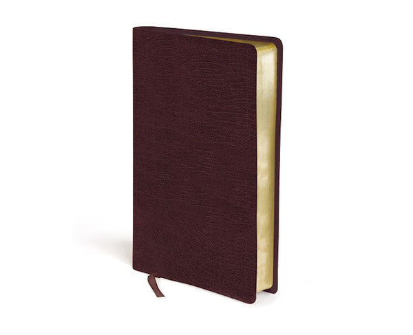 The Amplified Bible, Burgundy Bonded Leather