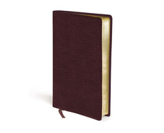 The Amplified Bible, Burgundy Bonded Leather