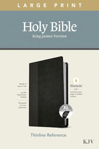 KJV Large Print Thinline Reference Bible, Black & Onyx Leather Touch, Indexed