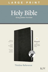 KJV Large Print Thinline Reference Bible, Black & Onyx Leather Touch, Indexed