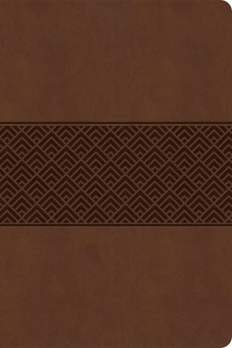 Everyday Study CSB Study Bible, Brown Leather Touch