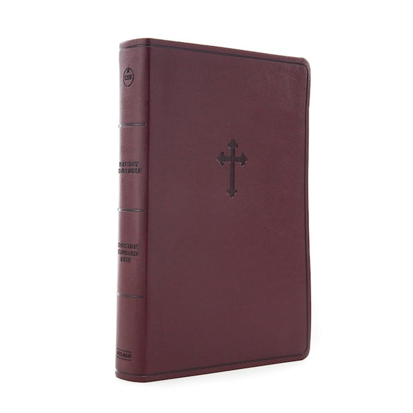 Everyday Study CSB Study Bible, Burgundy Leather Touch