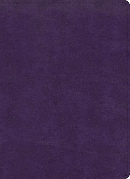 Holmon KJV Full Color Study Bible, Plum Leather Touch